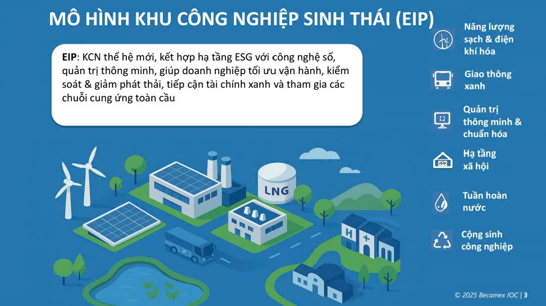 z7191199061732 3ae5e36daaf7e3fcc09b22b4c7b1617f