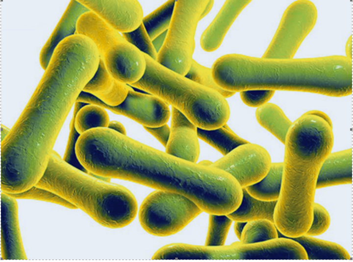 Annotation 2025 11 14 101545