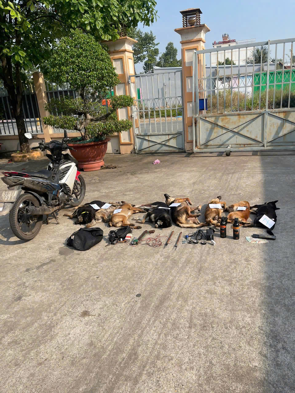 z7479541603917 a8f3096aa3237544a75e12a75c09d4b5